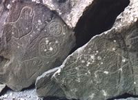 Ozette Petroglyphs